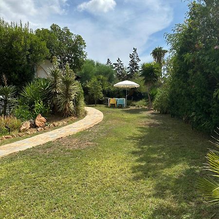 Micasa Ibiza Villa San Antonio  Kültér fotó
