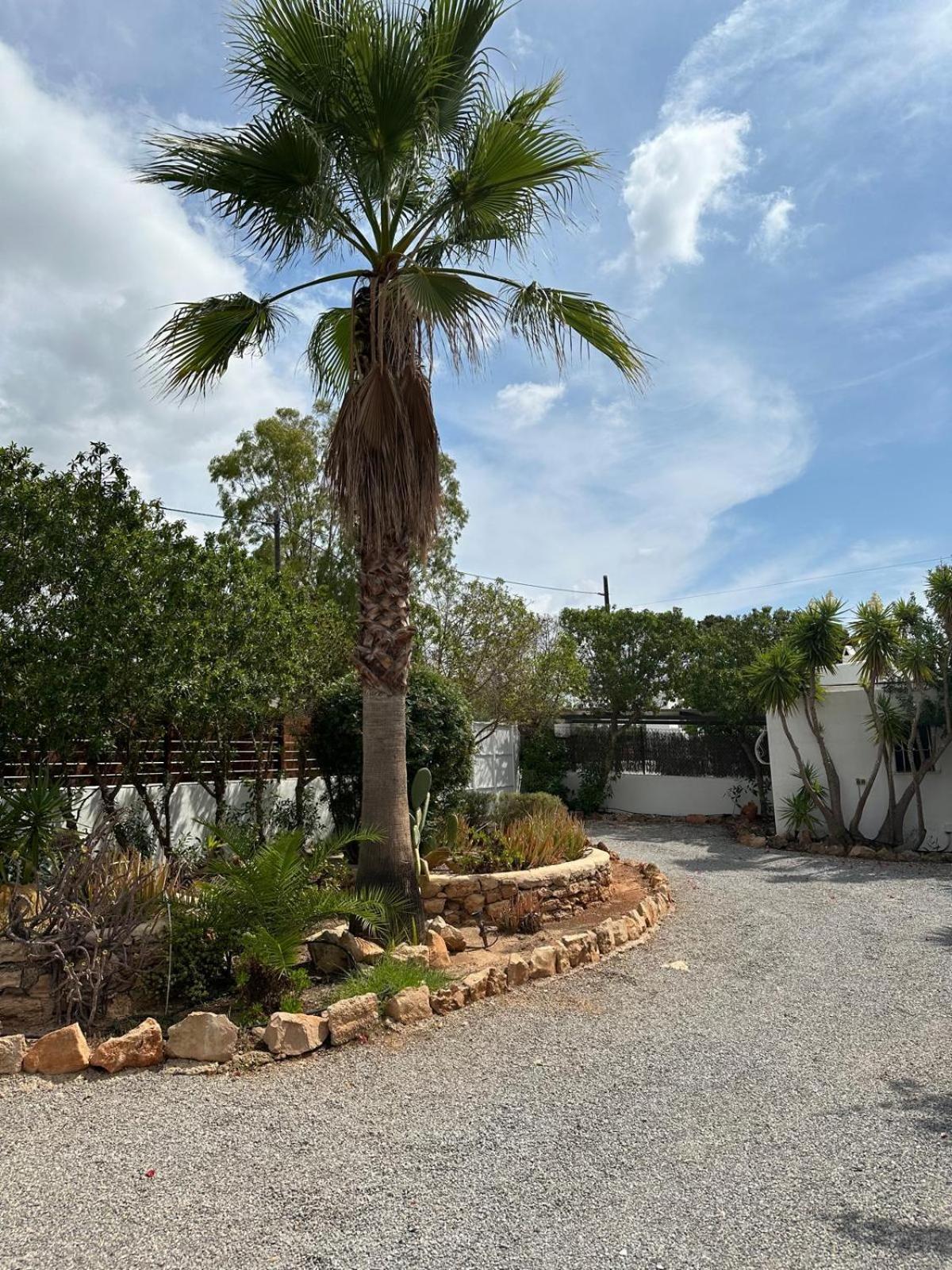 Micasa Ibiza Villa San Antonio  Kültér fotó