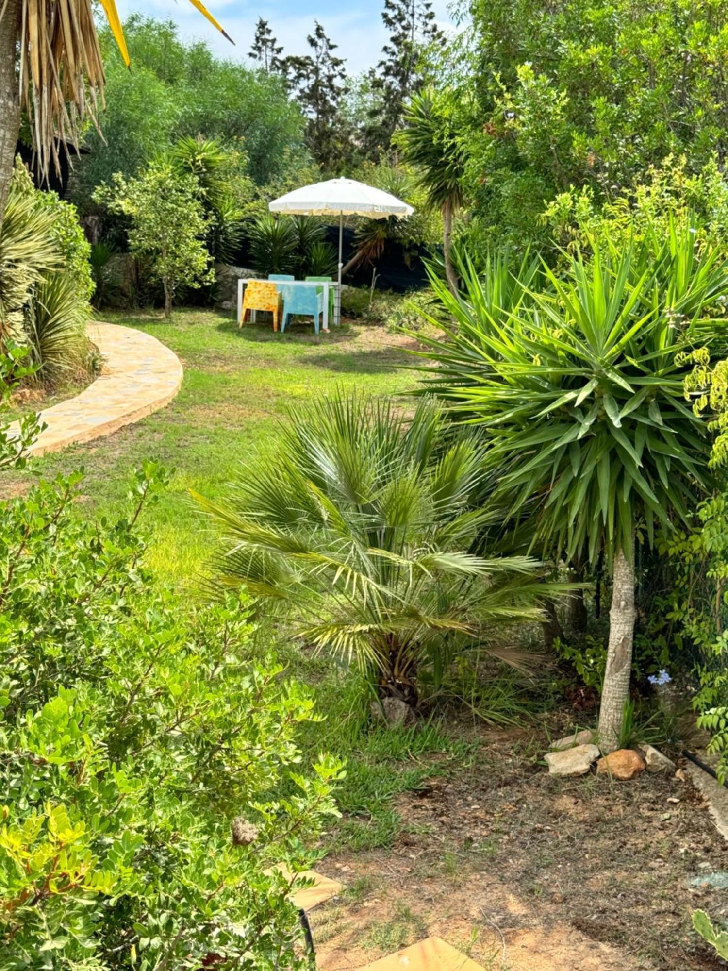 Micasa Ibiza Villa San Antonio  Kültér fotó