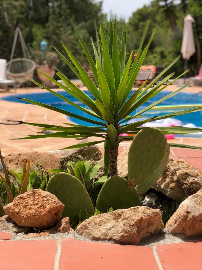 Micasa Ibiza Villa San Antonio  Kültér fotó